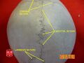 Fibrous_joint