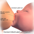 Breastfeeding correct latch-on