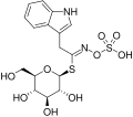 Structure of Glucobrassicin