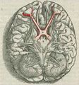 Chiasmal syndrome