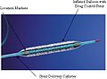 Taxus Stent