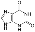 Xanthine structure