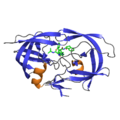 Indinavir bound to HIV protease (PDB: 2AVO)