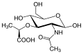 N-Acetylmuramic acid
