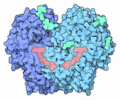 Structure of Glucose Oxidase