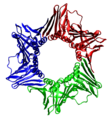 1AXC tricolor