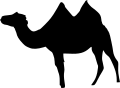 Camelus bactrianus silhouette