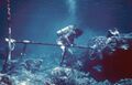 Coral drilling