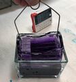 Slide rack in haematoxylin