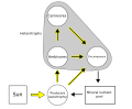 Food_web