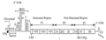 Poliovirus genome