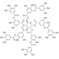 Phytochemistry