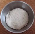 Bread dough