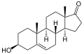 Dehydroepiandrosterone structure