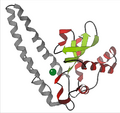 Superoxide dismutase