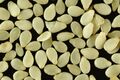 White Sesame Seeds