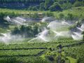 Winemaking