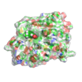 Tolcapone bound to COMT enzyme