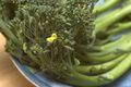 Broccolini, a hybrid of broccoli and Chinese broccoli.