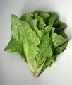 Romaine lettuce, commonly used in salads and Caesar salads.
