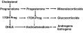 Structure of Dehydroepiandrosterone (DHEA)