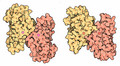 Superoxide dismutase