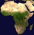 International emergency medicine
