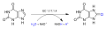 Xanthine dehydrogenase diagram
