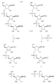 3' RNA degradation