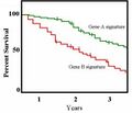 Gene expression profiling in cancer