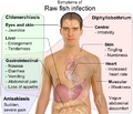 Symptoms of Raw fish infection