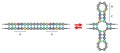 DNA palindrome