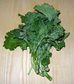 Rapini, also known as broccoli rabe, with a slightly bitter taste.