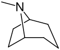 Tropane structure