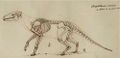 Extinction