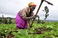 Kenya Food Security