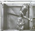 Animal testing on non-human primates