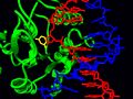 Uracil Base Glycosidase
