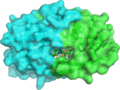3D model of Amprenavir