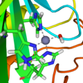Active site of carbonic anhydrase 1CA2
