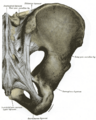 Pelvic girdle pain