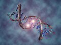 DNA methylation