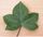 Stub icon