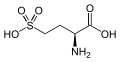 L-Homocysteic acid