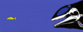 Dolphin