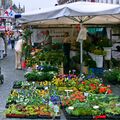 Flowers at Algemene Warenmarkt