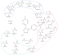 Discovery and development of cyclooxygenase 2 inhibitors