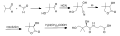 Synthesis of Pantothenic acid