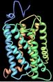 3D structure of Rhodopsin