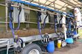 Dairy farming